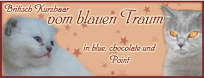 vom blauen Traum